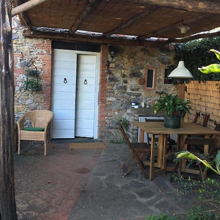 Casa Bouganville Massa Macinaia Exterior foto